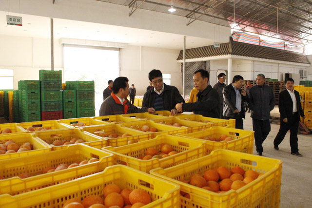 省经作局局长一行考察我江西公司基地
