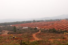 江西公司枧头种植基地正式动工
